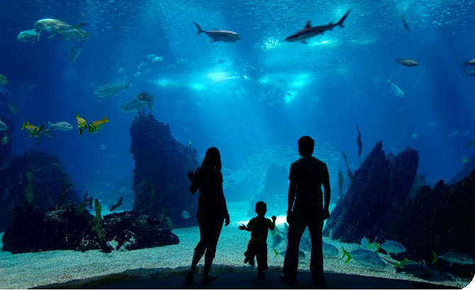 Baltimore Aquarium Amanda Powell Long and Foster