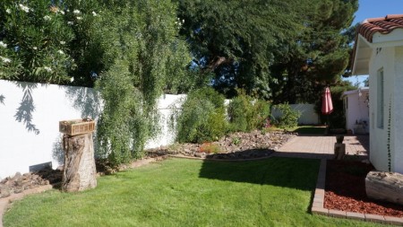 Rear Yard