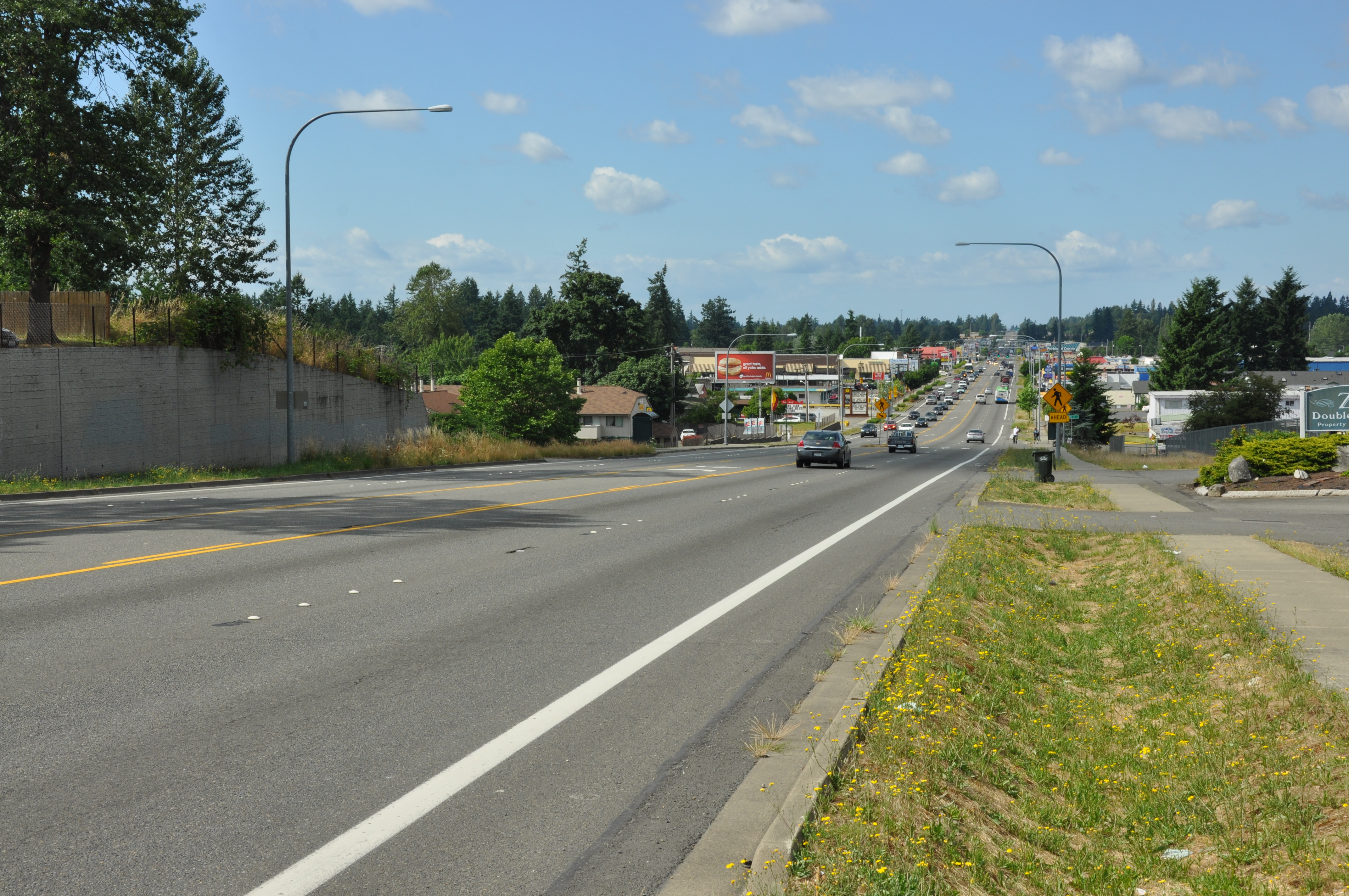 Spanaway Homes For Sale & Spanaway Real Estate