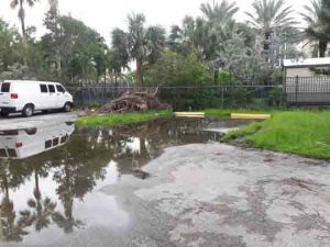 Ground flooding in Surfside Miami