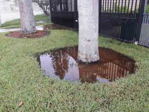 Town of Surfside Flood Warning