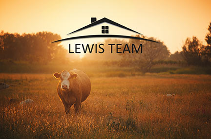 Descanso Real Estate