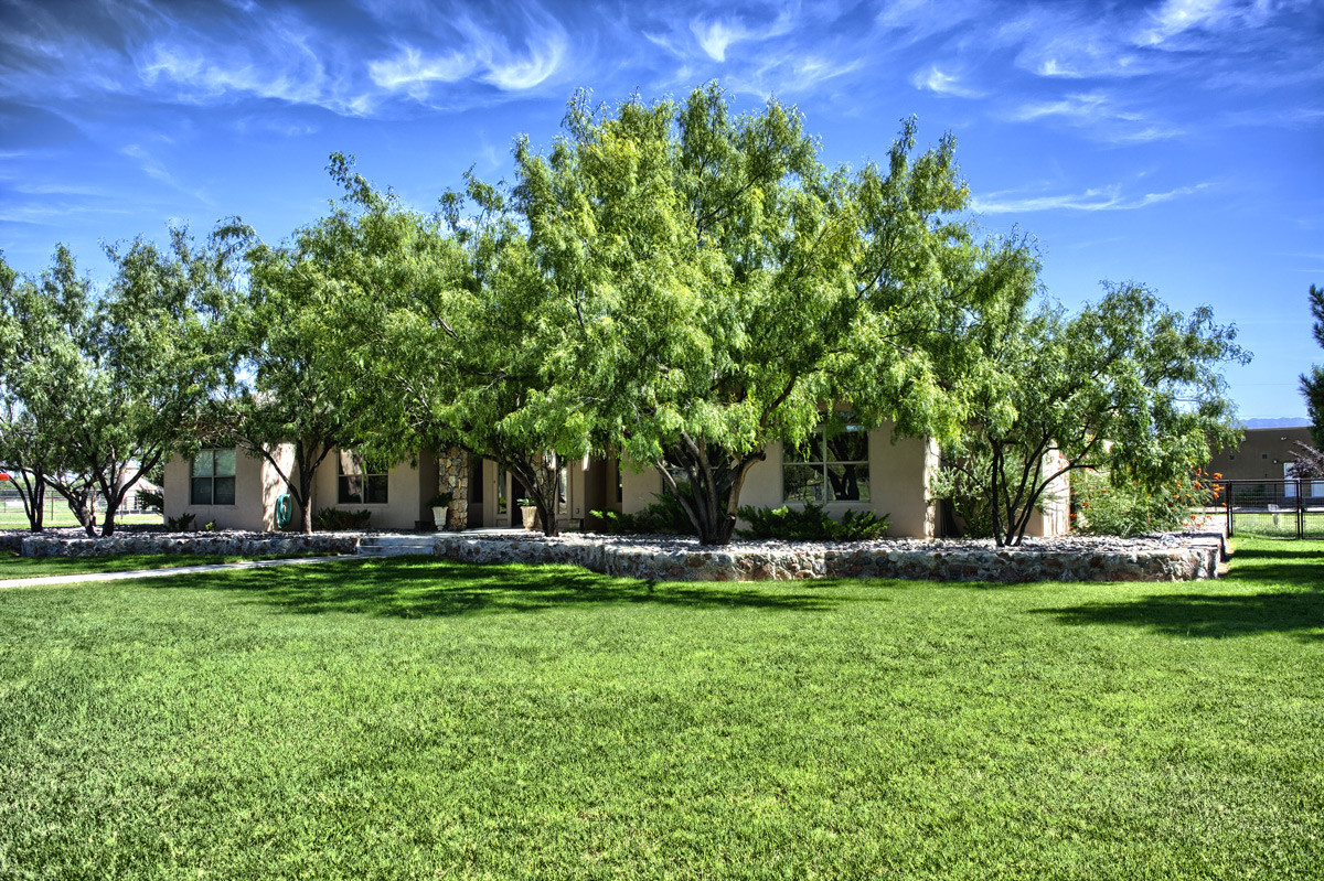 El Paso Homes for sale & Real Estate Casa By Owner