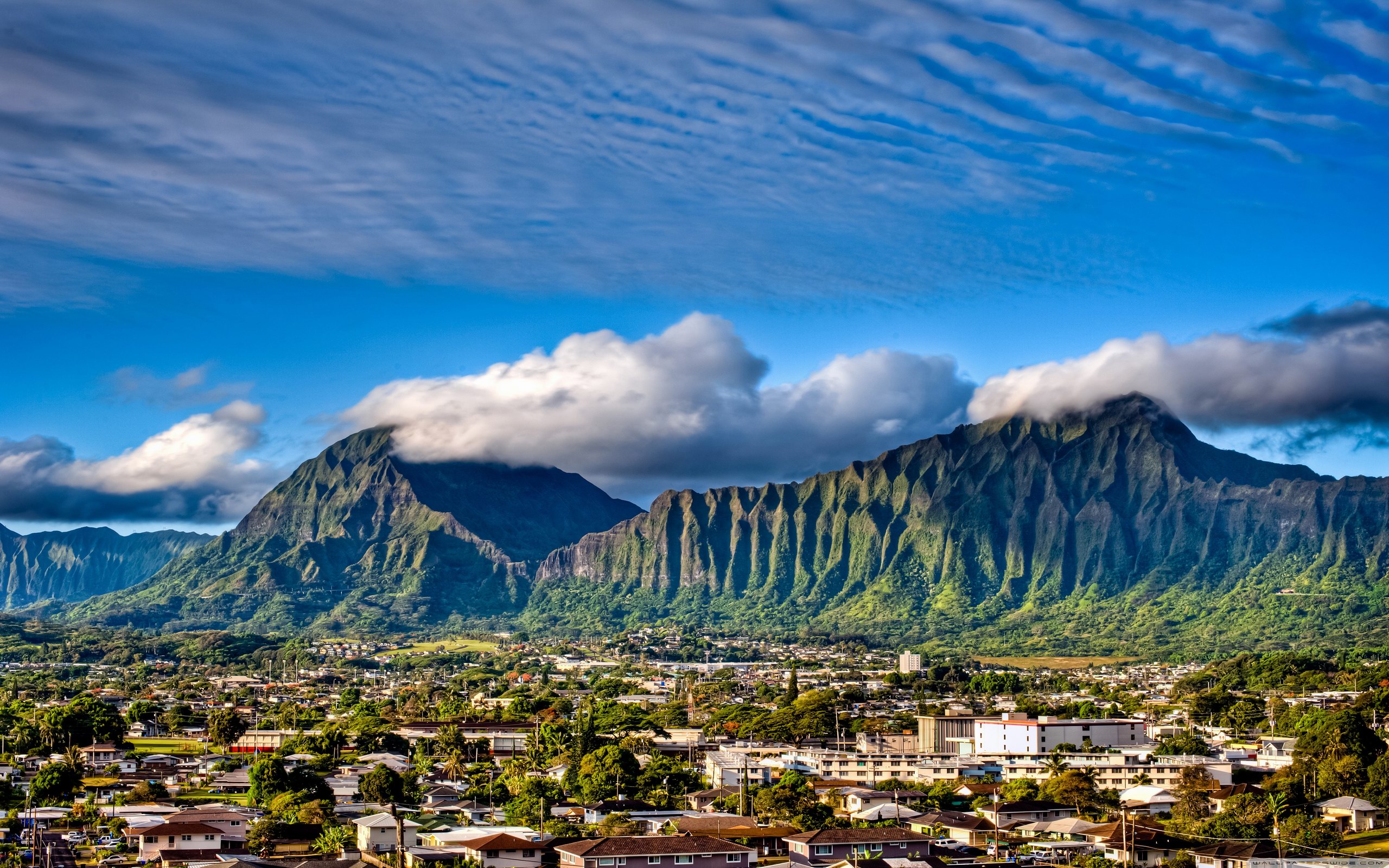 Resultado de imagem para Kaneohe Havaí