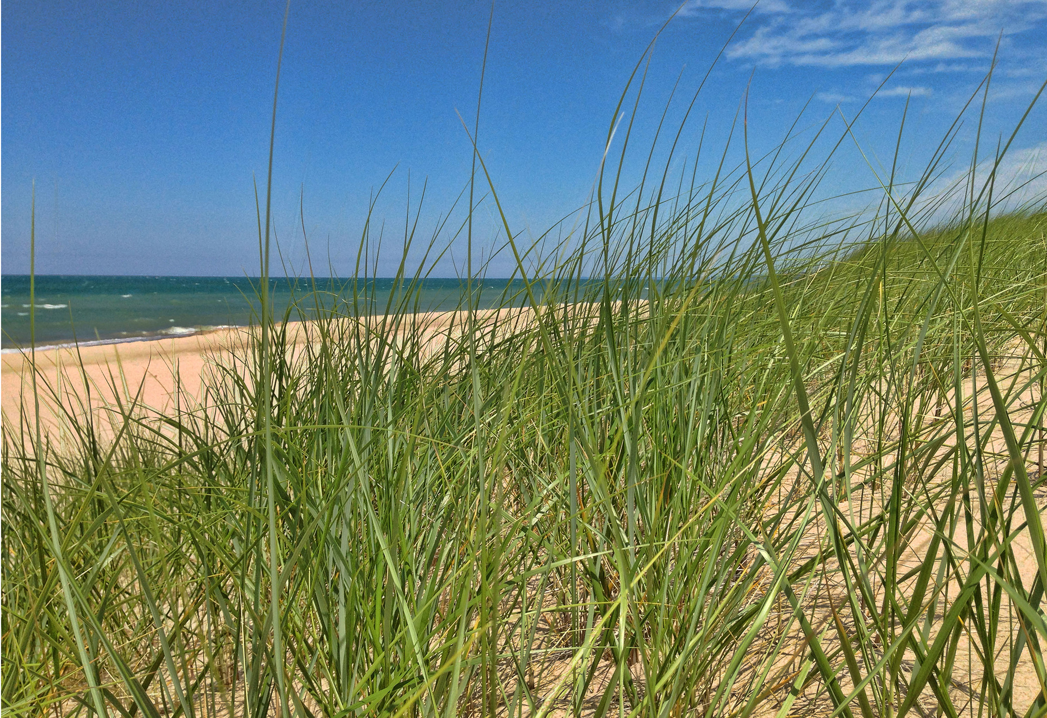 New Buffalo Boat Slips