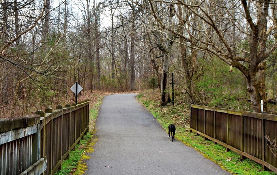 Greenway Car Wash Whitehouse Station Nj at Donald Lindsay blog