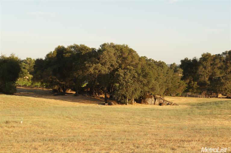 Realtor in Lincoln California Land For Sale. 10 Acres