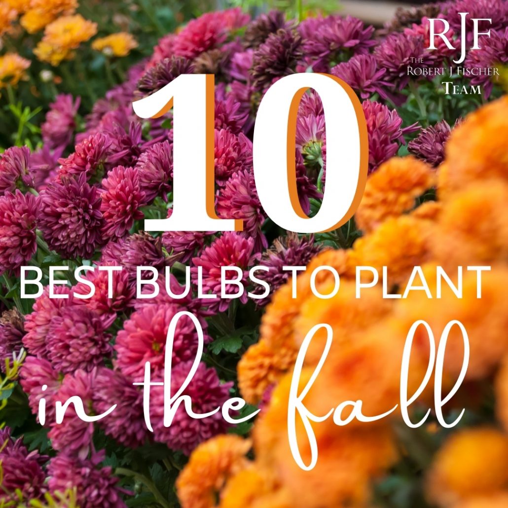 10 Best Flower Bulbs to Plant in the Fall