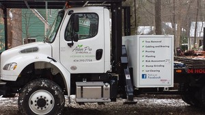 Best Tree Removal Service in Richmond VA