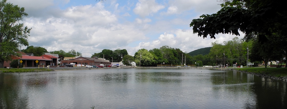 Schuylkill Haven Area School District Homes For Sale