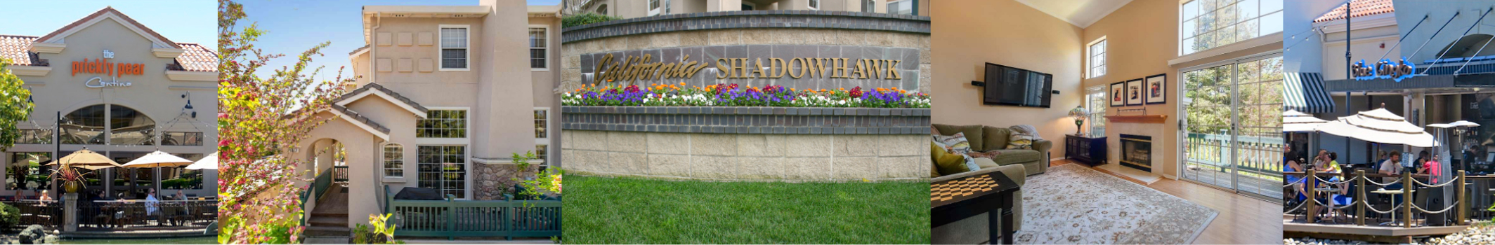 SHadowHawk in Danville CA