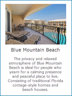 Blue Mountain