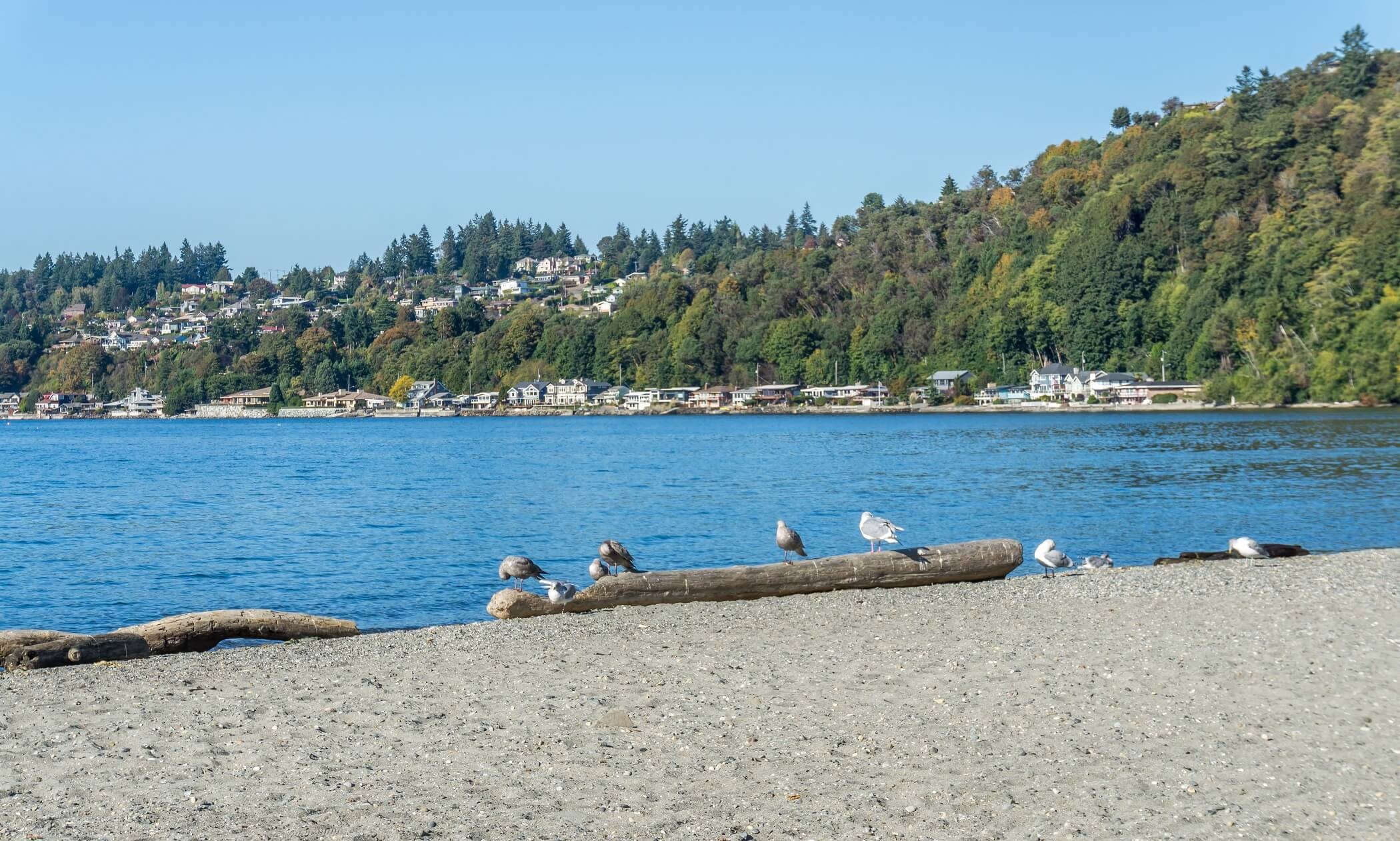 Puget Sound Waterfront Homes Puget Sound, WA Real Estate, WA Real Estate