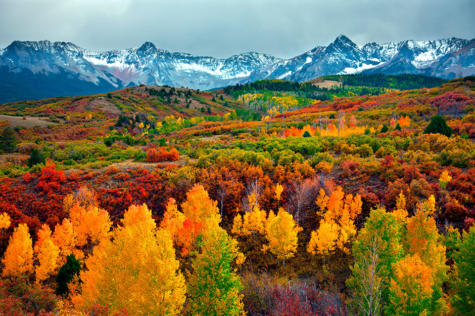 Where to Leaf Peep in Colorado Right Now