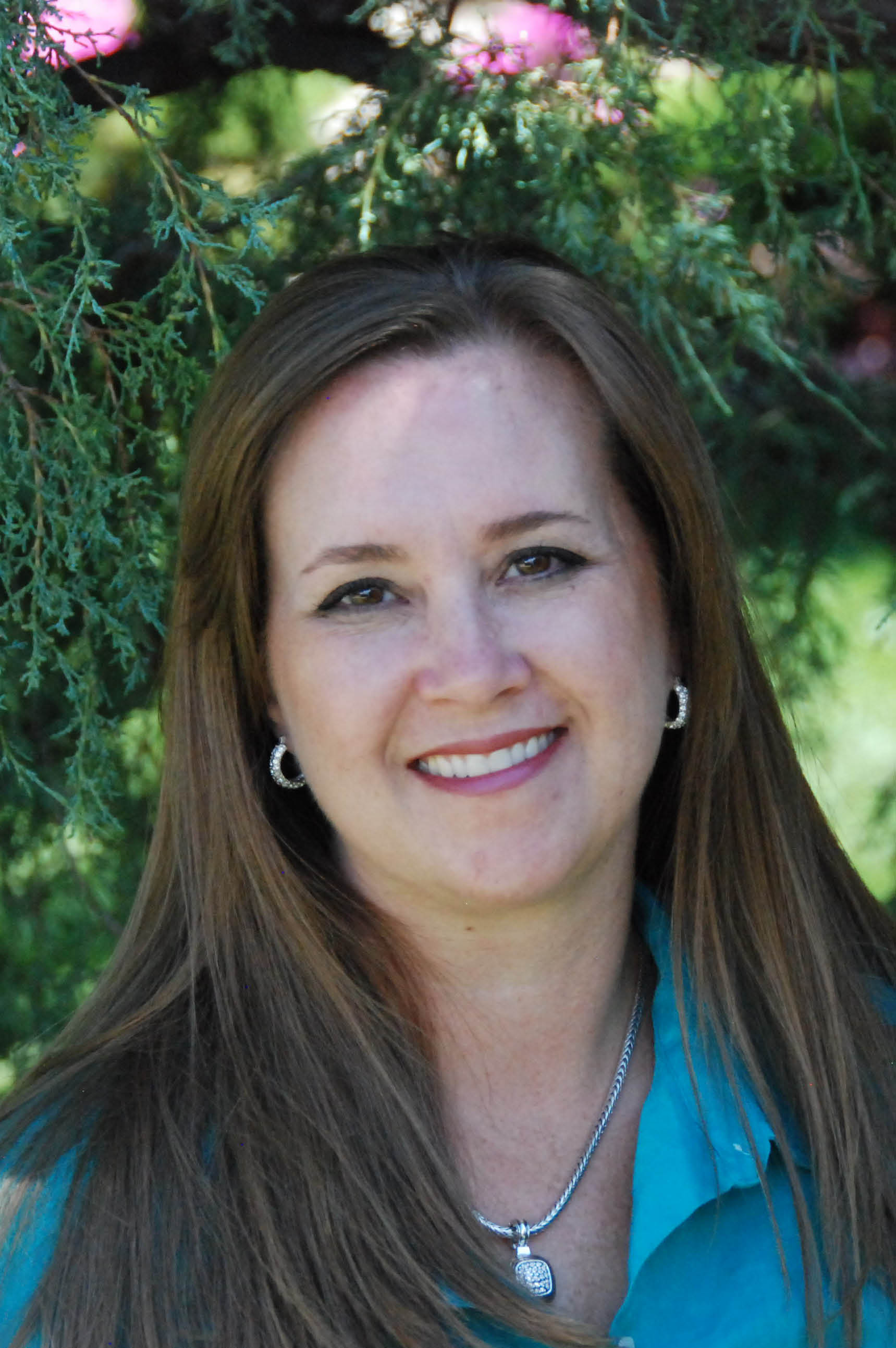 Alder Creek Homes for Sale