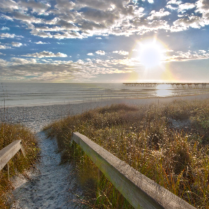 Oceanfront Homes
