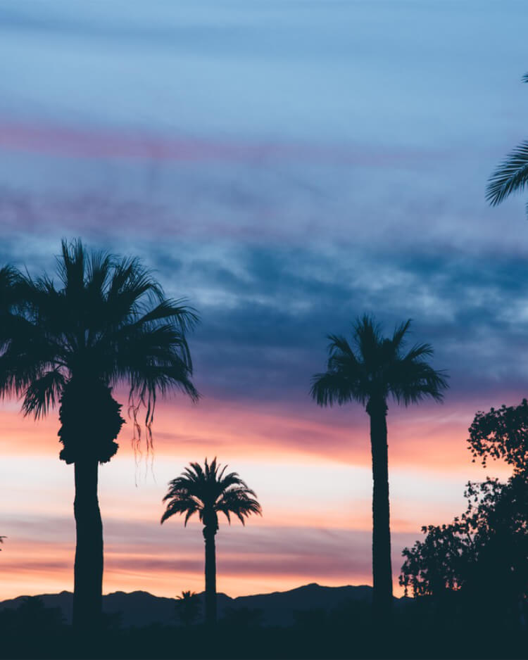 Litchfield Park Real Estate
