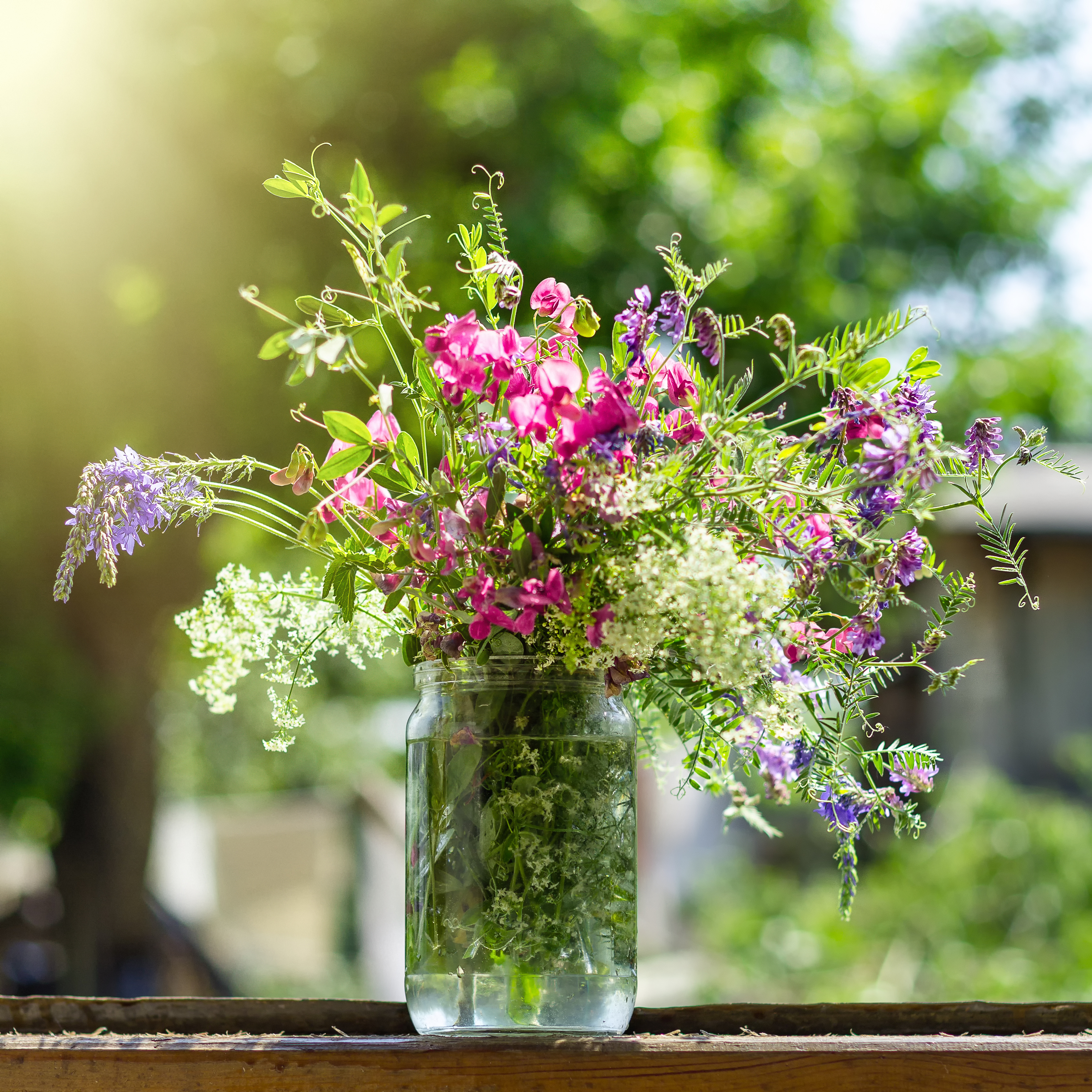 spring