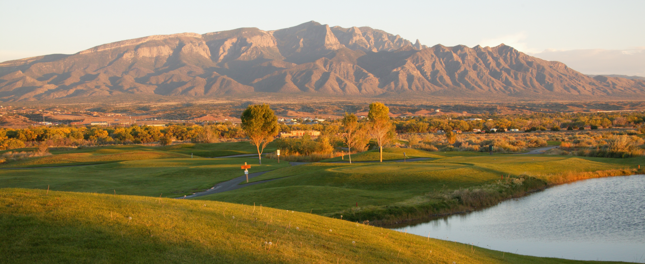 Albuquerque Realty