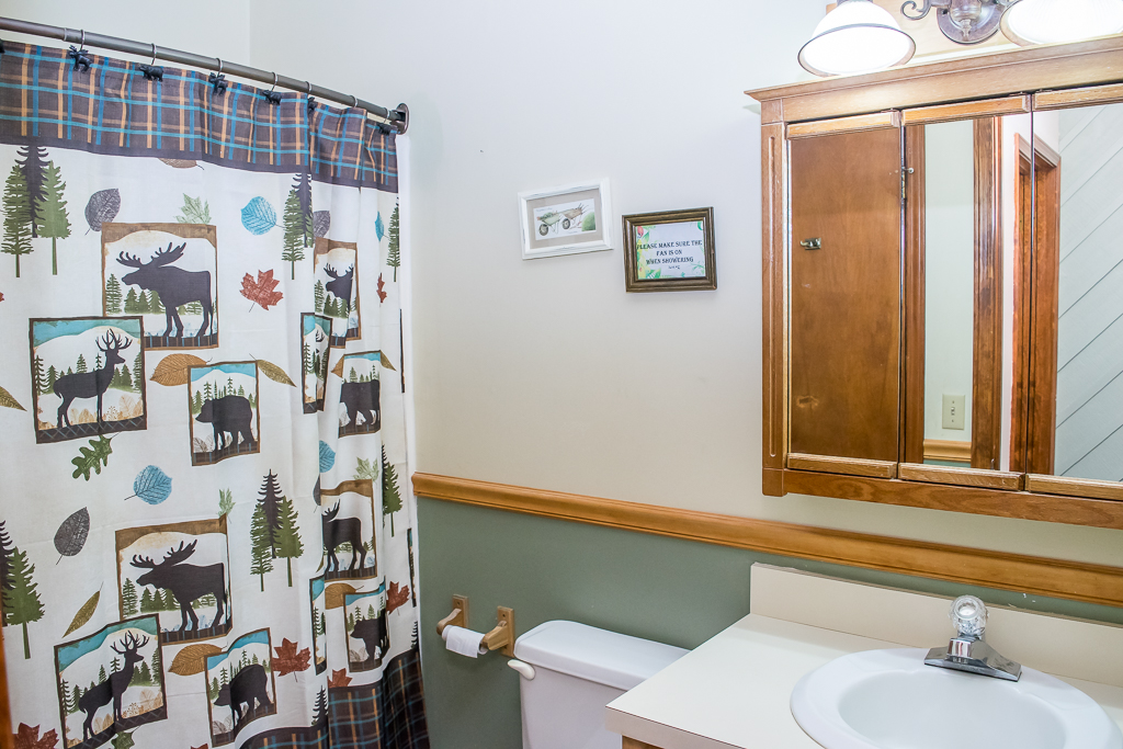 101 Maple Ln. Beech Mountain bathroom