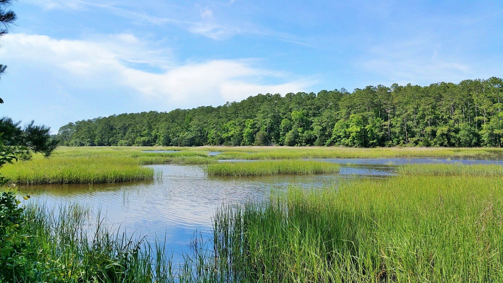 Big Landing Plantation. A Hidden Gem in Little River, SC