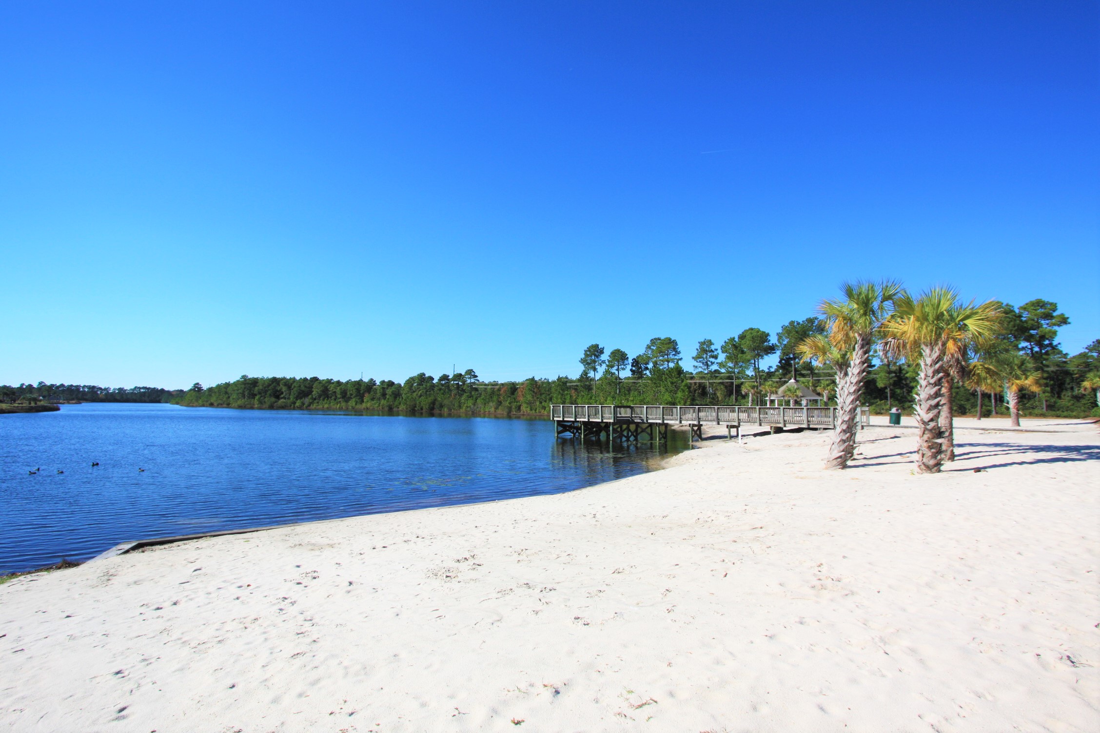 Berkshire Forest Homes For Sale Listings In Carolina Forest