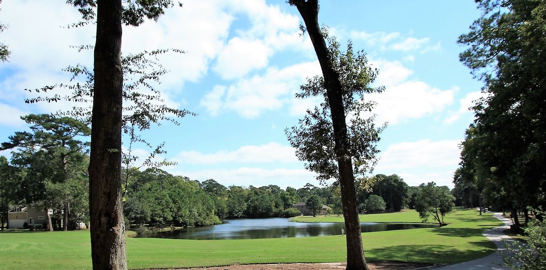 Tidewater Plantation Homes For Sale