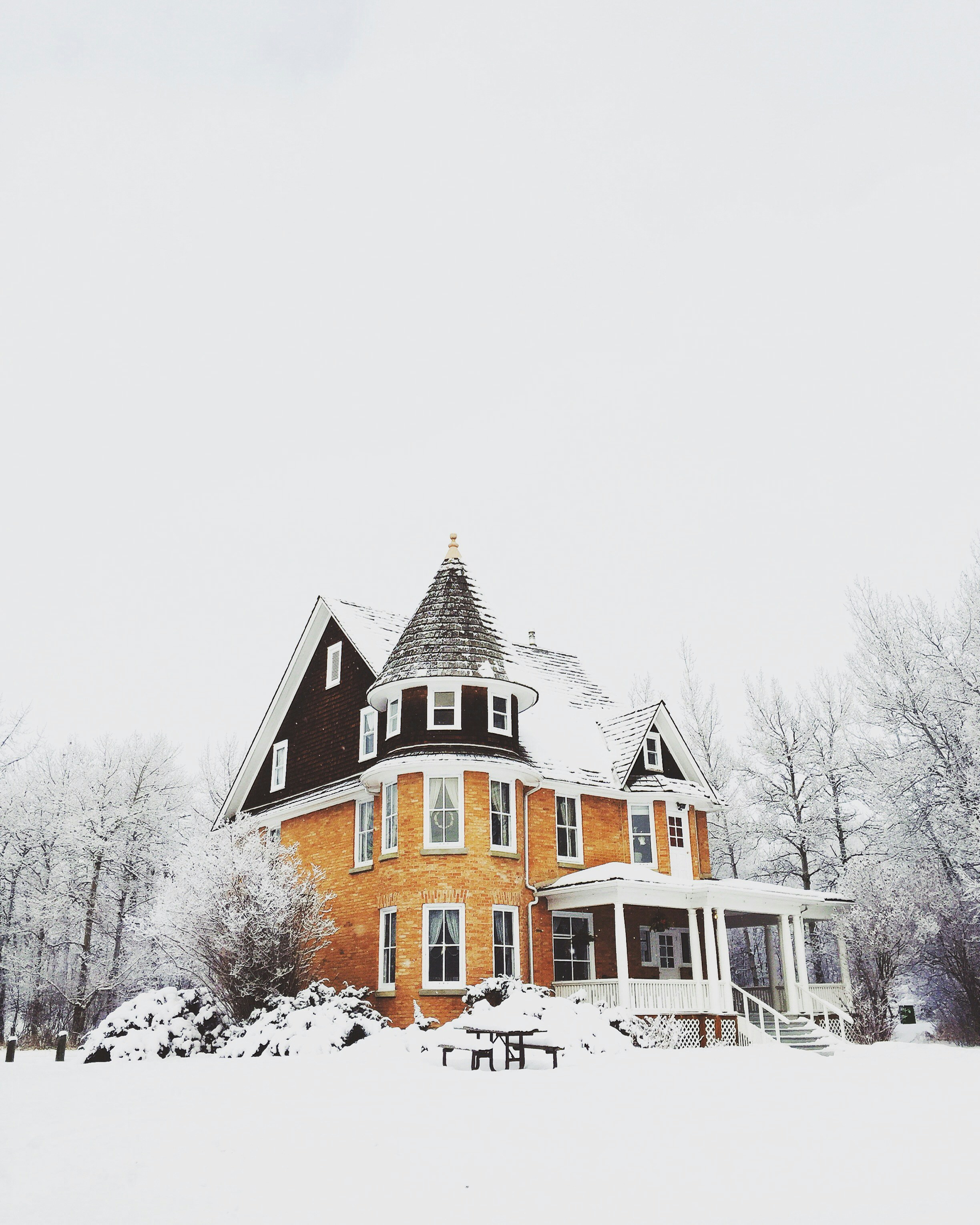 new dream home
