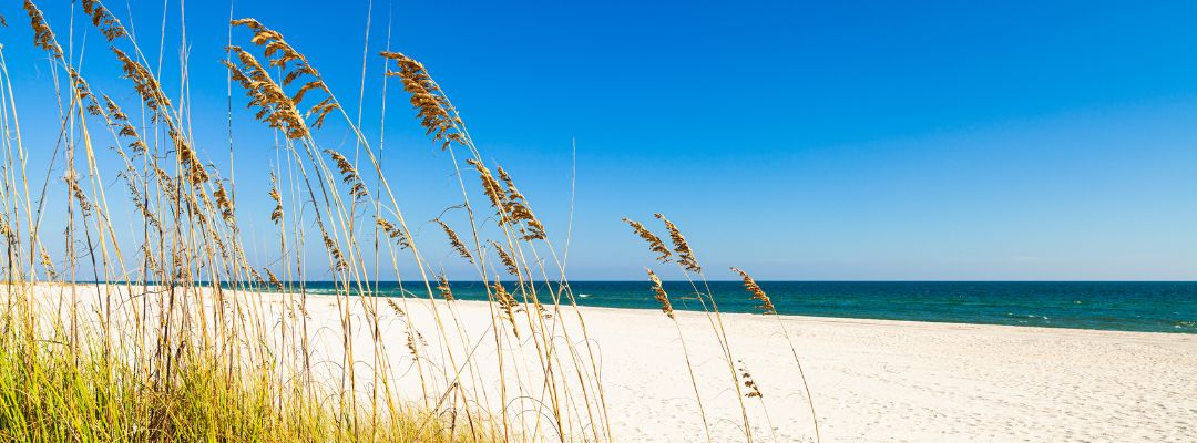 Pensacola Beach Sand Dunes & Sea Oats