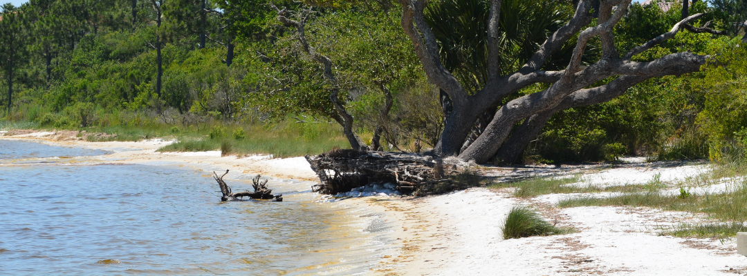 Exploring Homes for Sale in Gulf Breeze Florida?