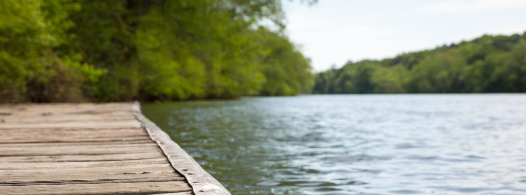 How a Realtor Can Guide You in Searching for a Milton Home
