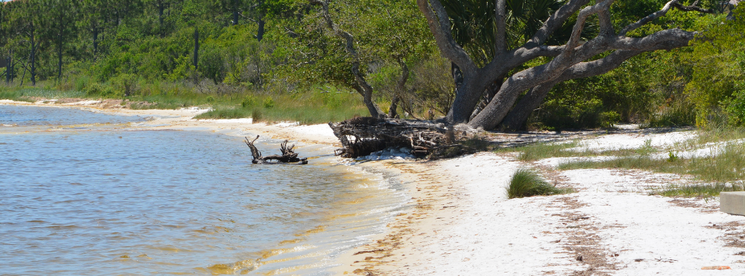 Santa Rosa County Real Estate Guide