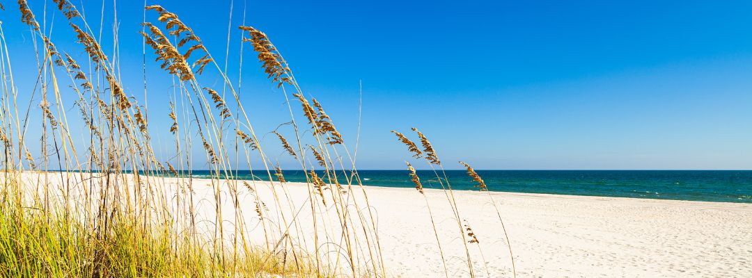 Pensacola Beach