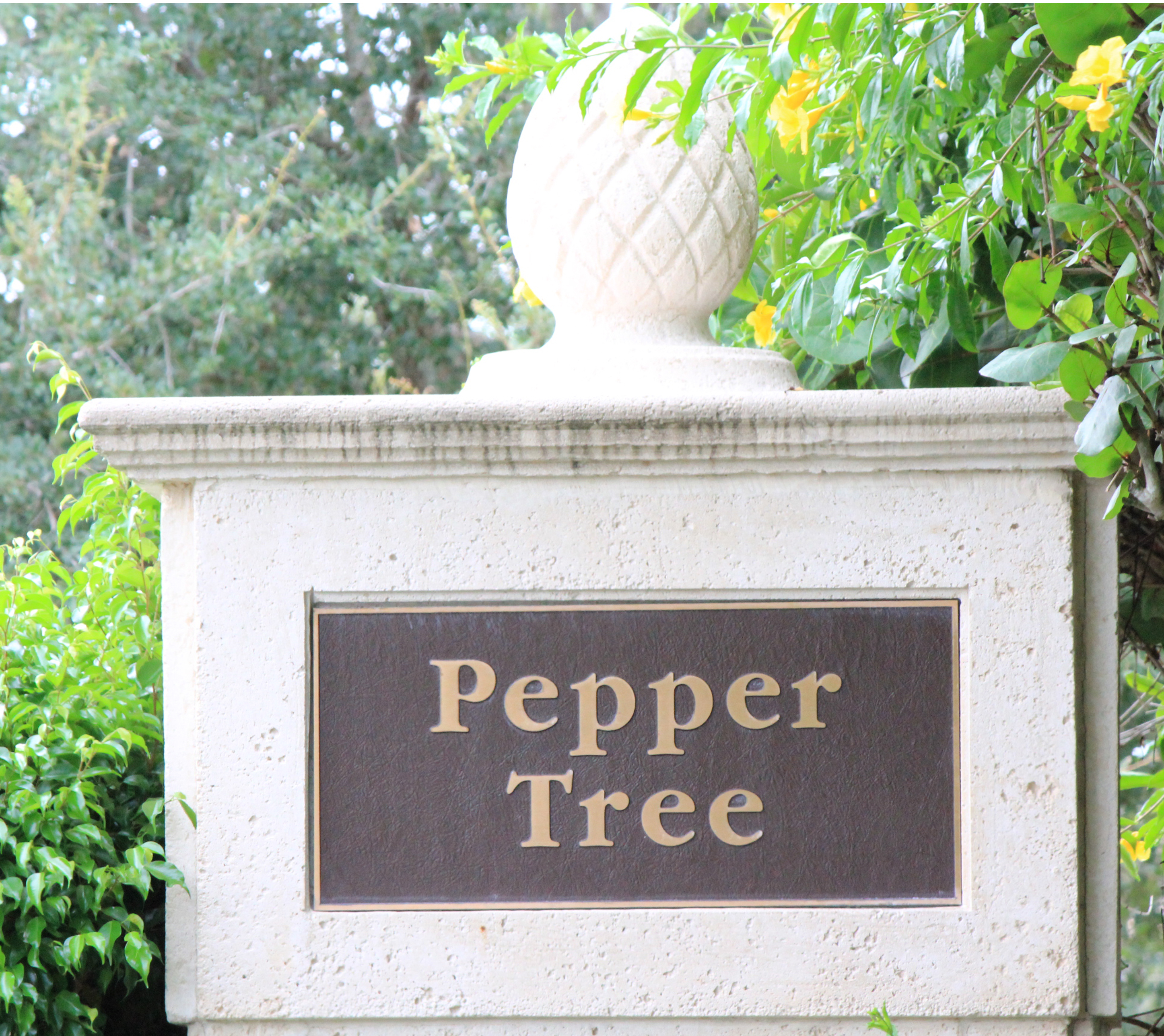 Pepper Tree homes for sale at Fiddler's Creek Naples Florida