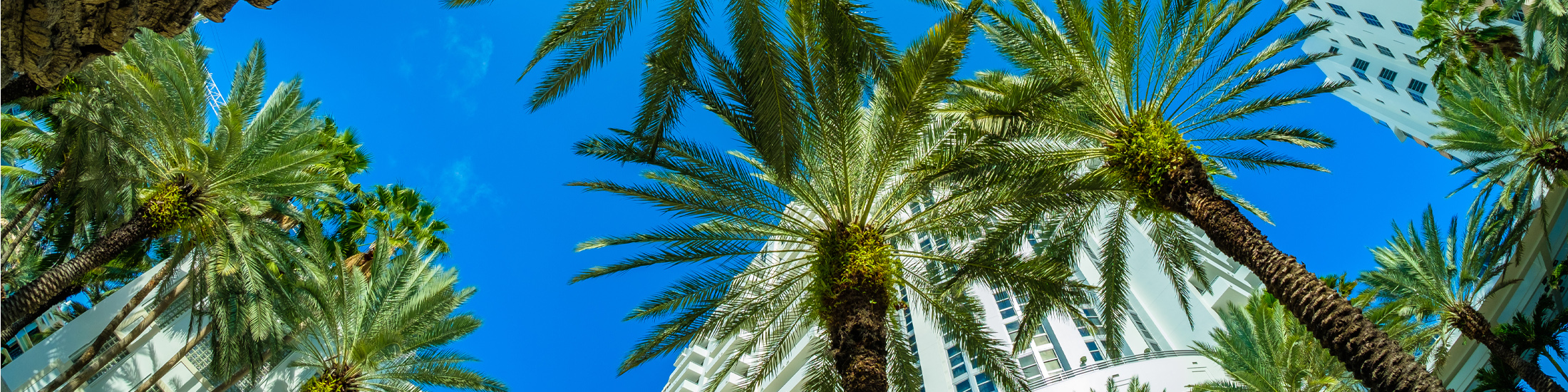 Cove Towers Condos Naples | Bay and Gulf View High Rises