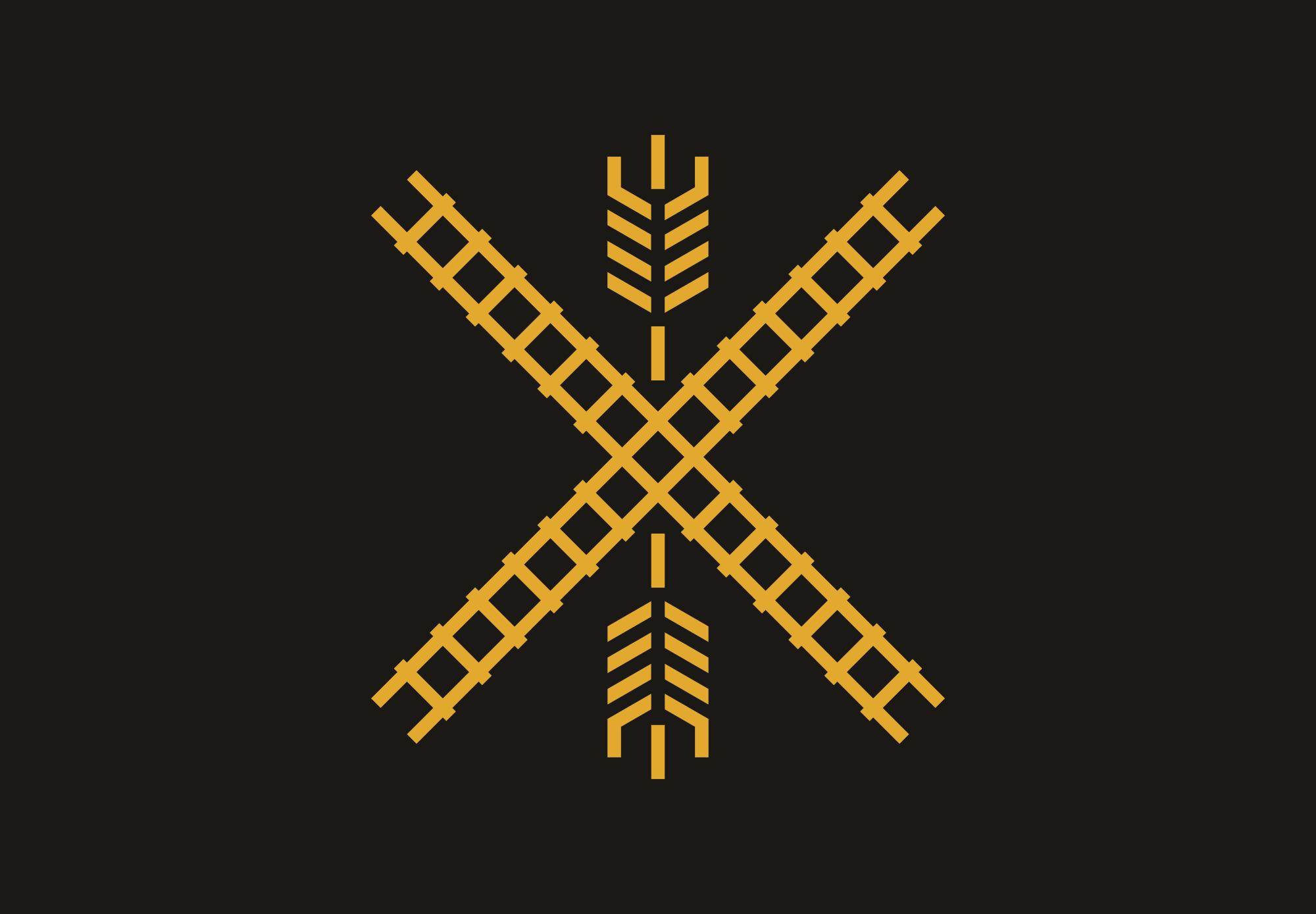 Newton-Flag