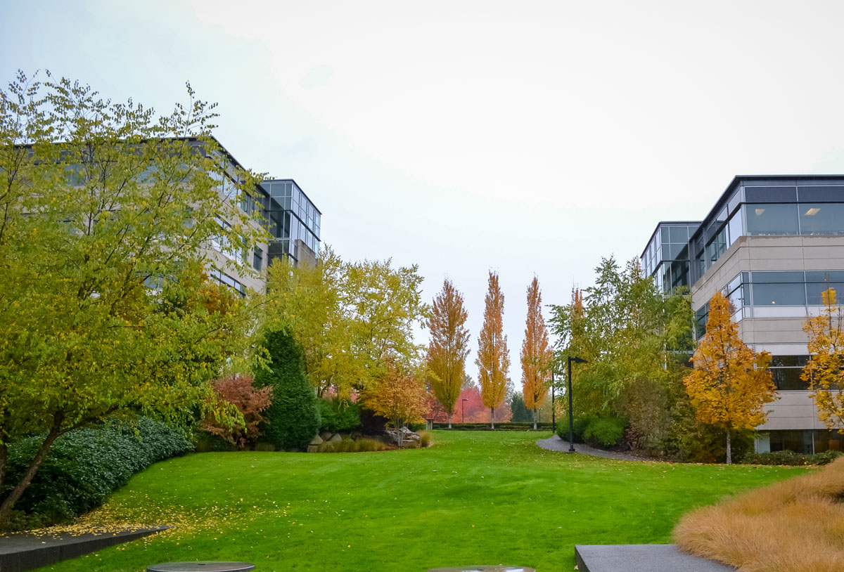 Redmond WA homes for sale & real estate