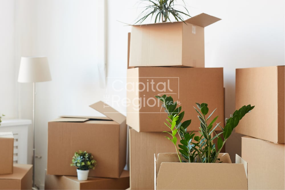 Moving boxes stacked beside houseplants in a bright room.