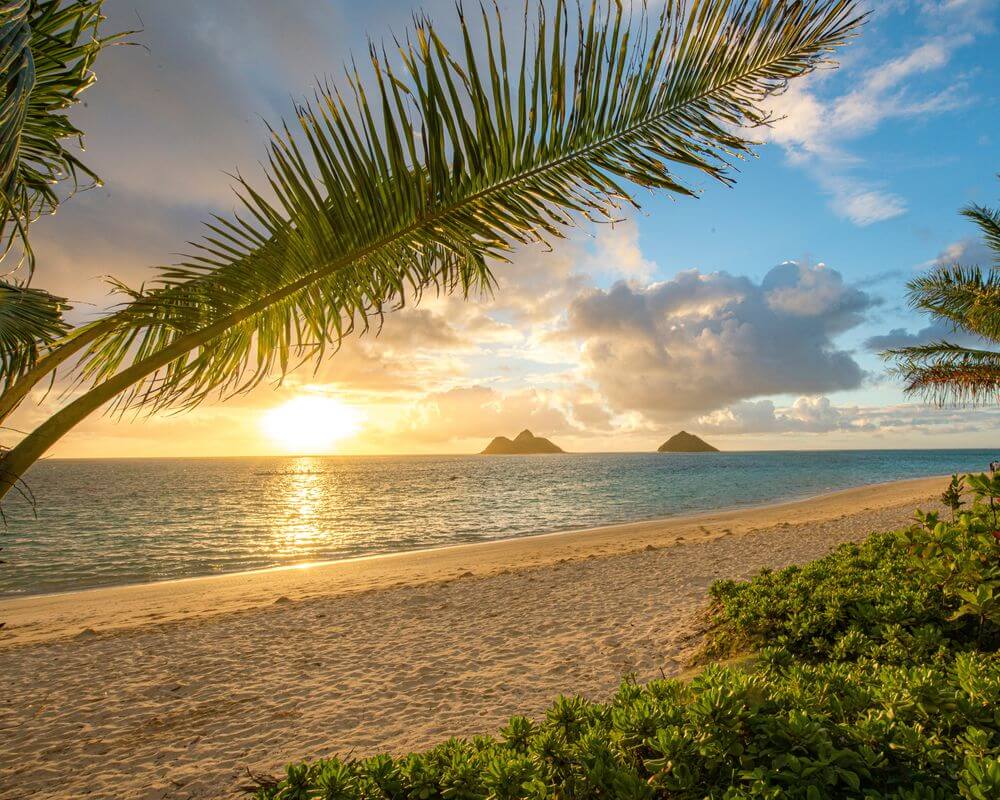 Search Oahu Waterfront Real Estate