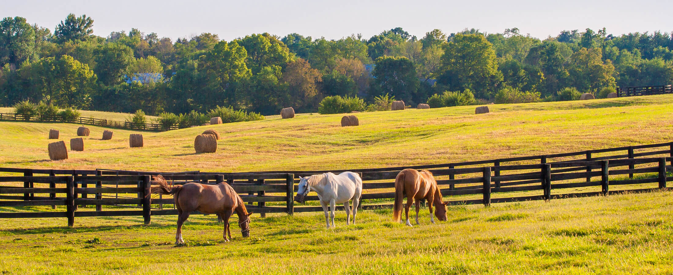 Central Kentucky Real Estate Central Kentucky Homes for Sale