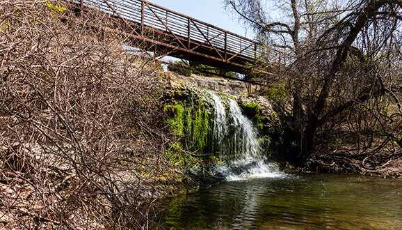 Search Cedar Park