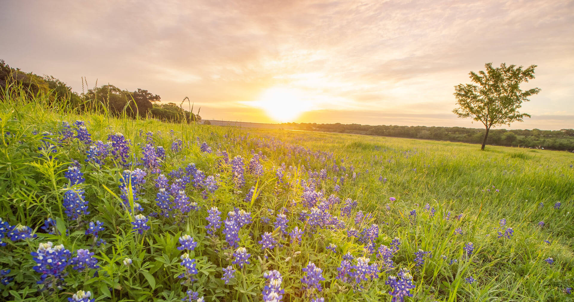 Real Estate in Austin and Surrounding Areas