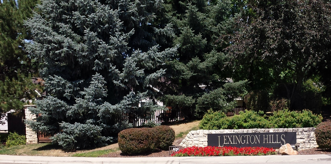 Lexington Hills Real Estate Eagle, Idaho Search all Lexington Hills