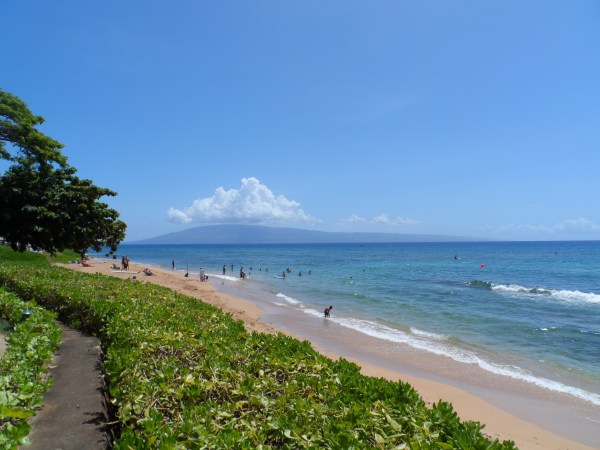 Kaanapali Shores 539 - Beach