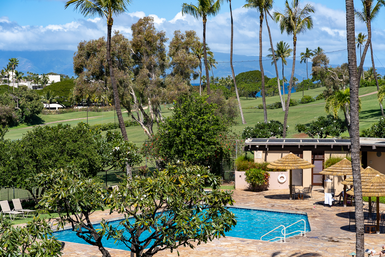 Kaanapali Royal F302