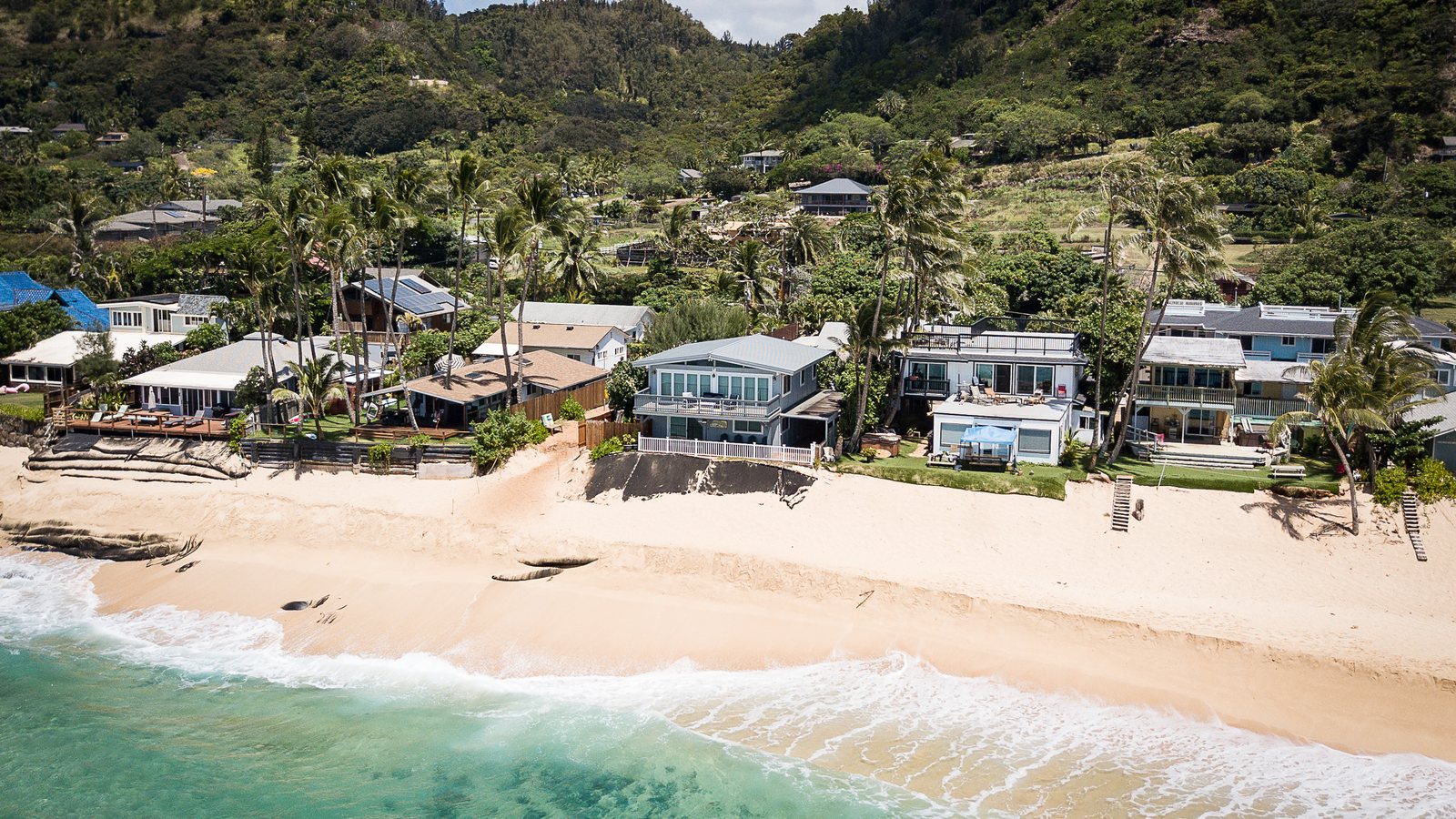 Beachfront homes on Oahu's North Shore with a sand erosion scarp along the shoreline
