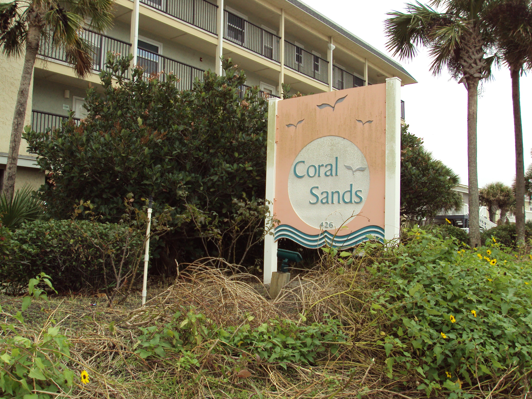 Amelia Island Oceanfront