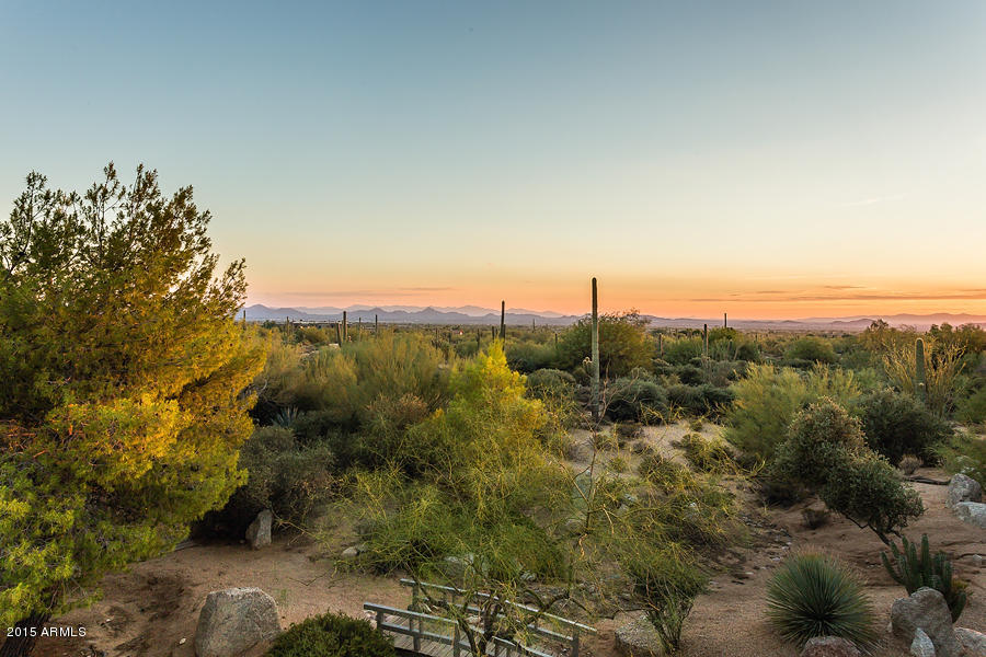 Mesa Horse Properties