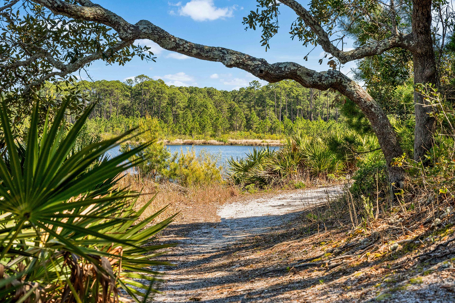 Draper Lake Hiking Trail 30A