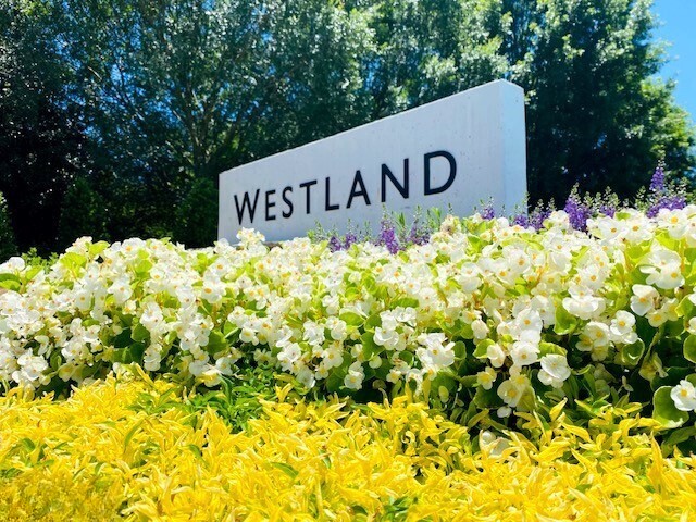 Westland